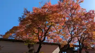 曼殊院門跡(京都府)