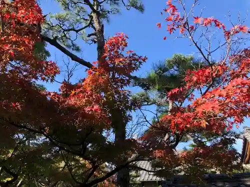 青大悲寺の自然