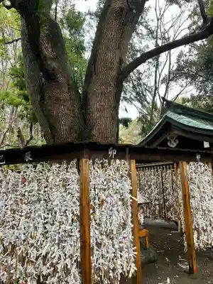 平塚八幡宮(神奈川県)