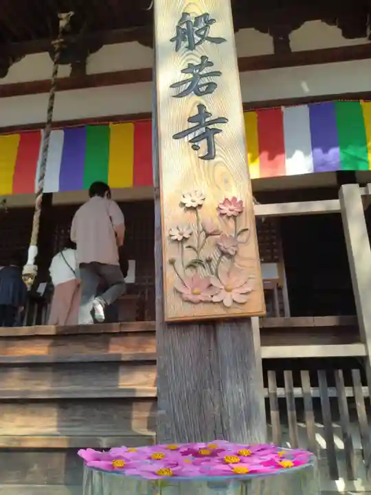 般若寺 ❁コスモス寺❁(奈良県)