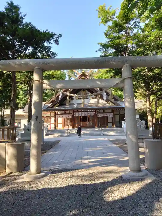 新琴似神社(北海道)