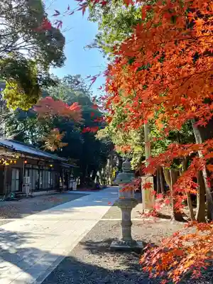 諏訪八幡神社の庭園