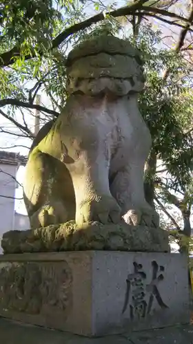 豊洲神社の狛犬