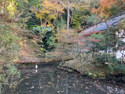 法然院(京都府)