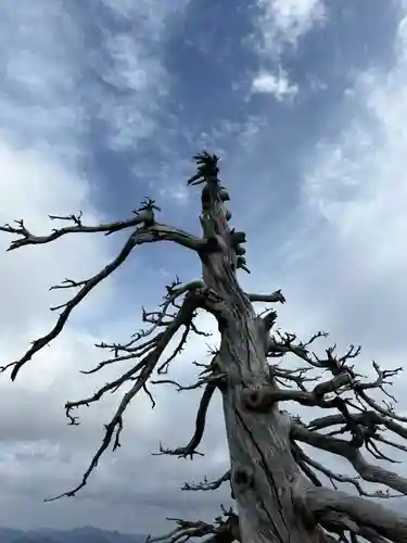 劔山本宮宝蔵石神社(徳島県)