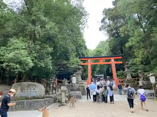 春日大社の鳥居