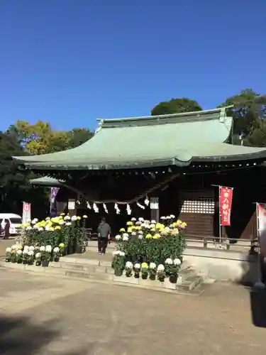 峯ヶ岡八幡神社の本殿・本堂
