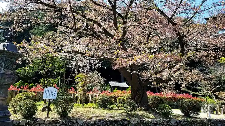橘寺の庭園