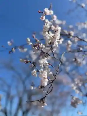 堤治神社の{uncategorized: "未分類", other: "その他", undefined: "問題あり", building: "その他建物", grave: "お墓", sacred_gate: "鳥居", guardian: "狛犬", statue: "像", buddha: "仏像", history: "歴史", nature: "自然", garden: "庭園", animal: "動物", pagoda: "塔", temizu: "手水舎", mountain_gate: "山門・神門", sanctuary: "本殿・本堂", subordinate: "末社・摂社", art: "芸術", scenery: "景色", jizo: "地蔵", ema: "絵馬", goshuin: "御朱印", omikuji: "おみくじ", items: "授与品その他", amulet: "お守り", goshuincho: "御朱印帳", eats: "食事", festival: "お祭り", votive_dance: "神楽", shichigosan: "七五三参", wedding: "結婚式", experience: "体験その他", initially: "初詣", around: "周辺", anti_infection: "感染症対策"}