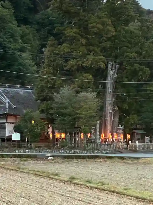 来宮神社(静岡県)