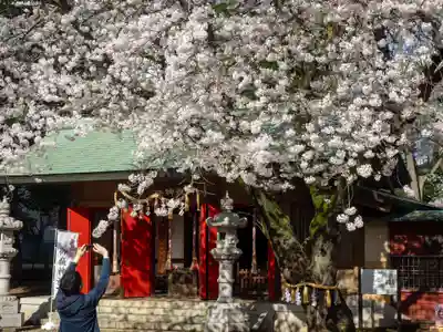 前原御嶽神社の本殿・本堂