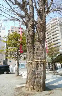 北海道神宮頓宮のその他建物