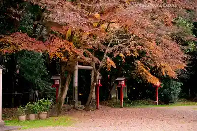 鷲宮神社(埼玉県)