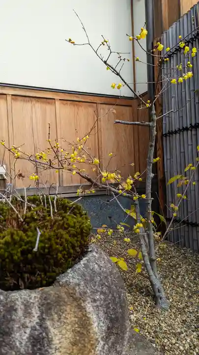 勝林寺(京都府)