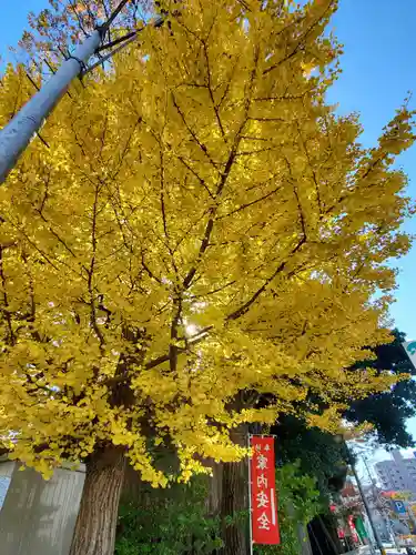 阿邪訶根神社(福島県)