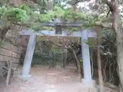 阿波命神社(東京都)