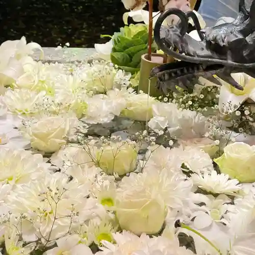 札幌諏訪神社の手水舎