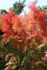 比叡山延暦寺(滋賀県)