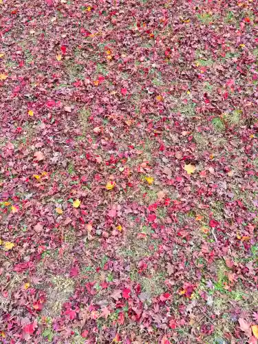日吉大社の{uncategorized: "未分類", other: "その他", undefined: "問題あり", building: "その他建物", grave: "お墓", sacred_gate: "鳥居", guardian: "狛犬", statue: "像", buddha: "仏像", history: "歴史", nature: "自然", garden: "庭園", animal: "動物", pagoda: "塔", temizu: "手水舎", mountain_gate: "山門・神門", sanctuary: "本殿・本堂", subordinate: "末社・摂社", art: "芸術", scenery: "景色", jizo: "地蔵", ema: "絵馬", goshuin: "御朱印", omikuji: "おみくじ", items: "授与品その他", amulet: "お守り", goshuincho: "御朱印帳", eats: "食事", festival: "お祭り", votive_dance: "神楽", shichigosan: "七五三参", wedding: "結婚式", experience: "体験その他", initially: "初詣", around: "周辺", anti_infection: "感染症対策"}