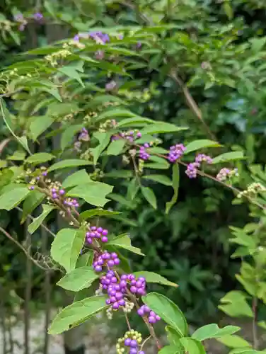 正伝護国禅寺(正伝寺･正傳寺)(京都府)