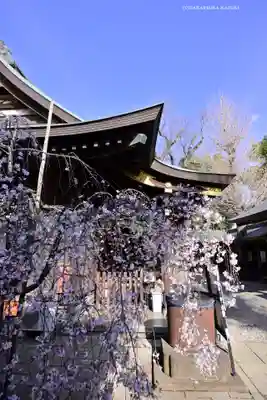 鳩ヶ谷氷川神社(埼玉県)