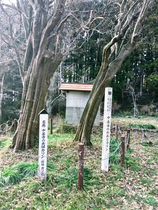 中善寺(福島県)