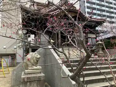 白鬚神社(石川県)