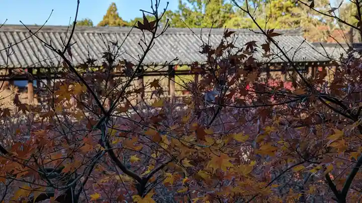 東福禅寺(東福寺)(京都府)