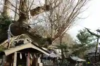 海南神社(神奈川県)