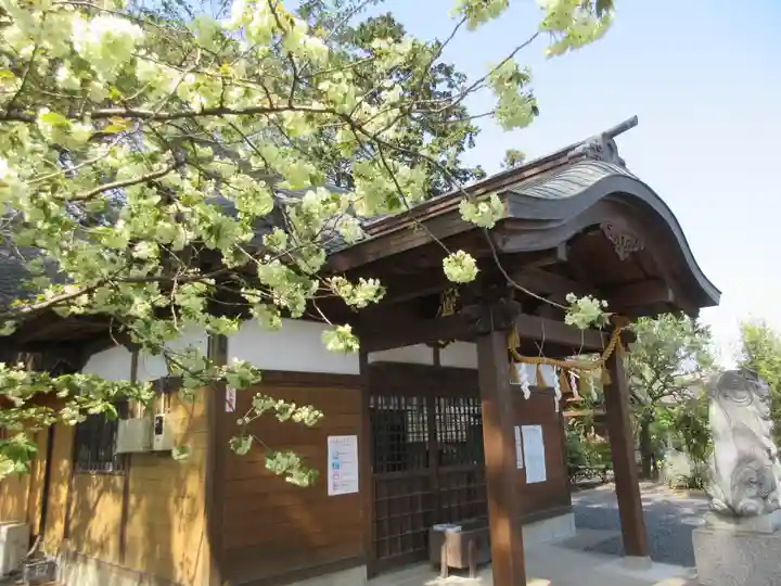 山田八幡神社の本殿・本堂