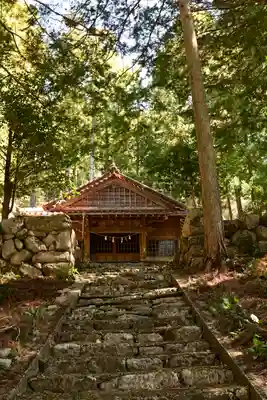 三所神社（桑の川の大杉）(高知県)