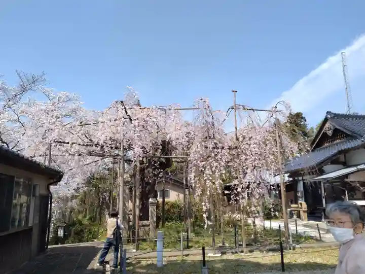 千手院(島根県)