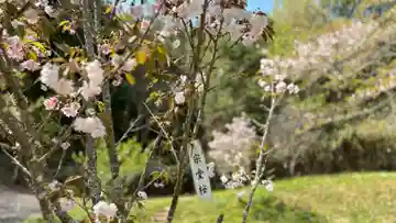 素戔嗚神社(岡山県)