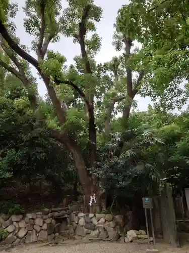 安居神社の自然