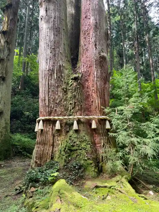 御岩神社(茨城県)