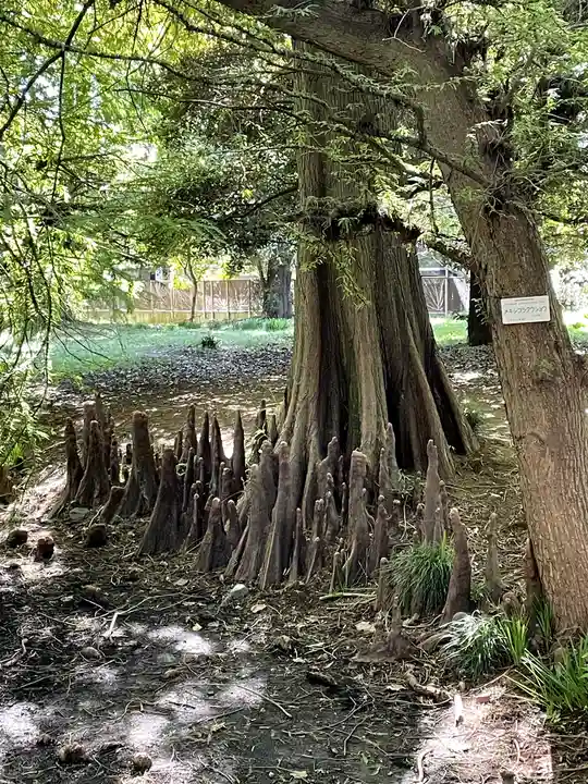 太郎稲荷神社(東京都)