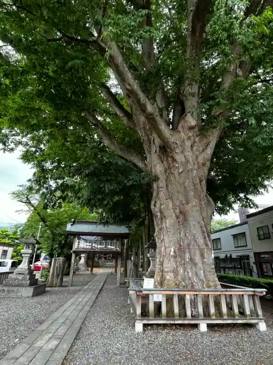 住吉神社(岩手県)