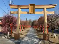 朝日森天満宮の鳥居