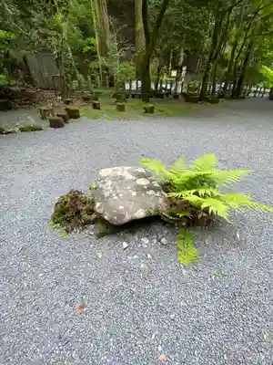 貴船神社奥宮(京都府)