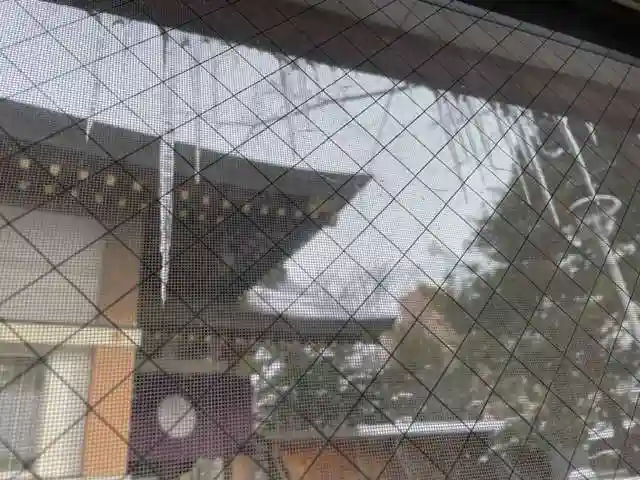 彌彦神社 (伊夜日子神社)の自然