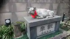 櫻天神社の狛犬