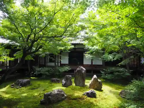 建仁寺（建仁禅寺）(京都府)
