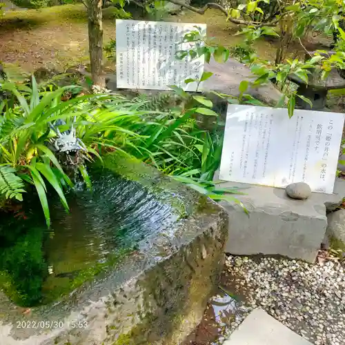 武田神社の庭園