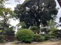 圓明寺(千葉県)