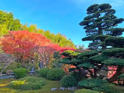 華厳寺（鈴虫寺）の庭園