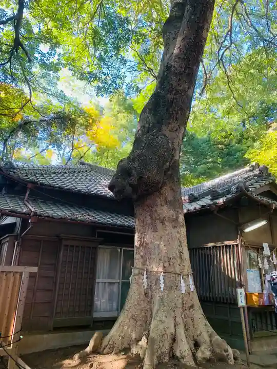氷川女體神社(埼玉県)