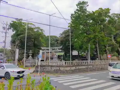 星野神社(平尾町)の自然