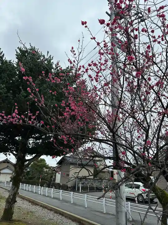 新川神社の自然