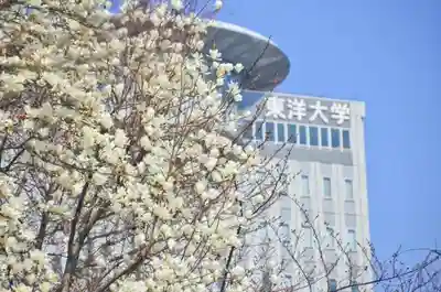 白山神社の周辺