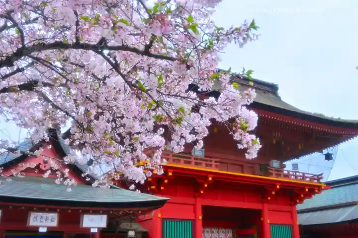富士山本宮浅間大社(静岡県)